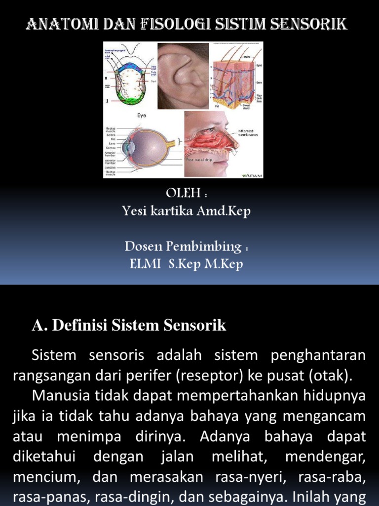 Reseptor Sensorik | PDF | Sains & Matematika