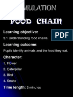 Simulation (Food Chain)