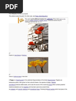 Poppy