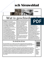 Didactisch Nieuwsblad Aangepast