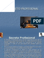 el-secreto-profesional-1216609164316076-9