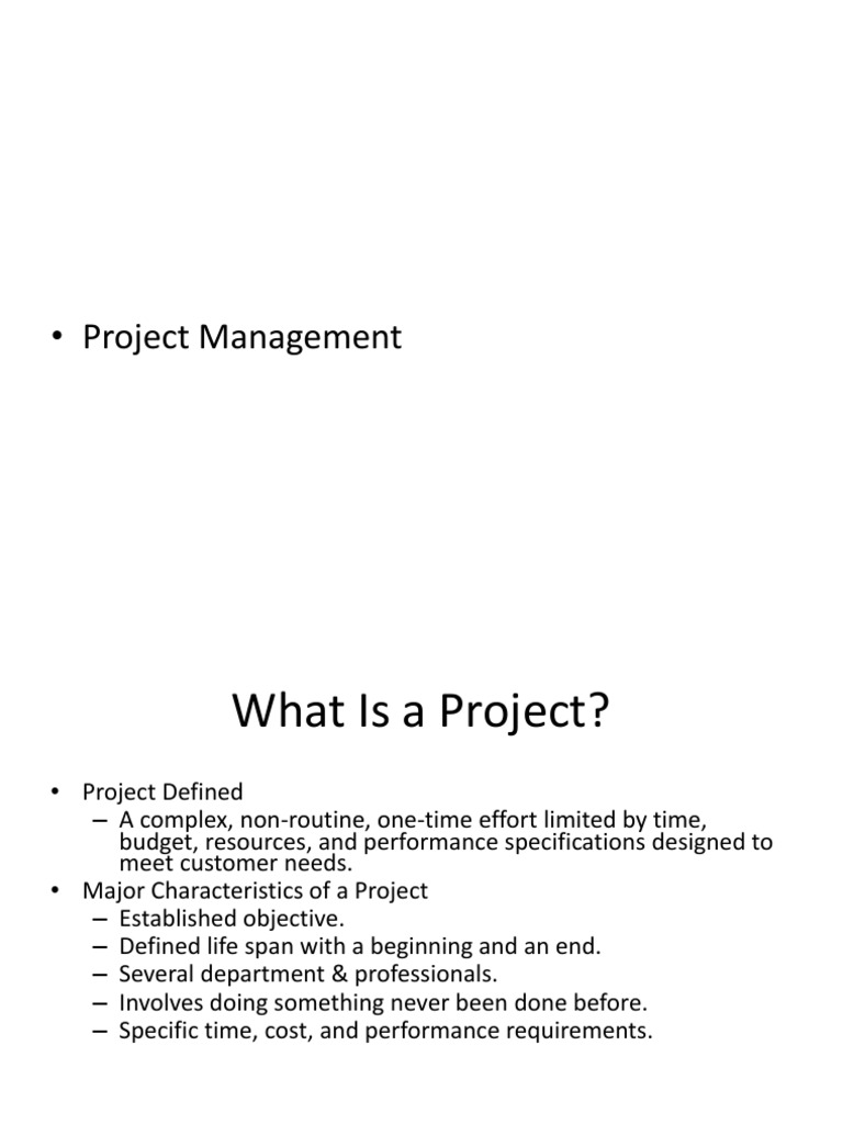 Understanding Project Management Basics | PDF | Management Information ...