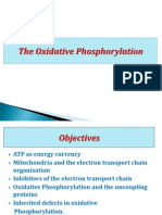 Oxidative Phosphorylation Ma 2011-3

