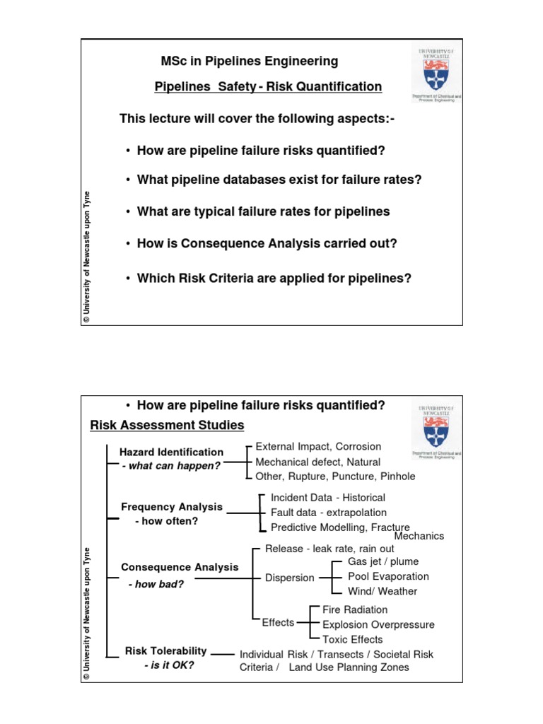 University of NewCastle - Pipeline Risk | PDF | Pipeline Transport | Risk