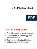 Endo Ch02 Pituitary