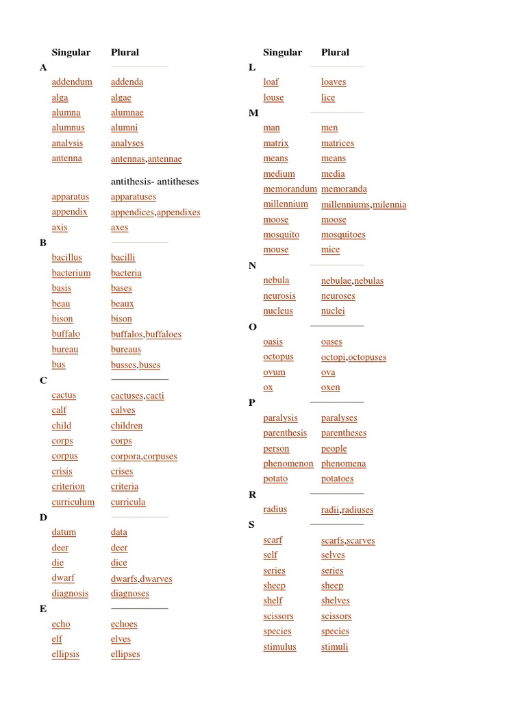 Plural of Irregular Nouns | PDF