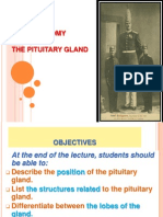 01-Anatomy of Pituitary Gland 1