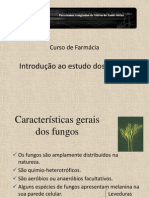 Características gerais dos fungos