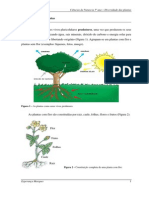 diversidade de plantas.pdf