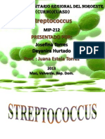Características y enfermedades causadas por Streptococcus pyogenes