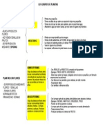 CONOCIMIENTO - TEMA 2 - El Reino de Las Plantas - Los Grupos de Plantas