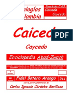 014 C03 Caicedo-Caycedo 1