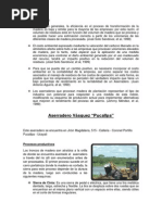 Aserradero Vasquez Pucallpa