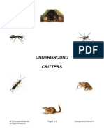 Underground Critters Preview