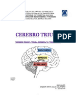 Cerebro Triuno