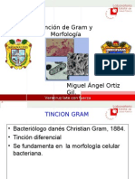 Tincion Gram y Morfologia Bacteriana LESP (PQCMAOG)