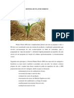 SISTEMA DE PLANTIO DIRETO.docx