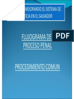Flujograma_Derecho Procesal Penal II
