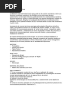 Cintologia Del Moco Fecal