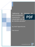 Aplicacion de Tecnicas de Biorremediacion para El Trat de Res Ind Con Alto Contenido de Metales Pesados PDF