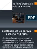 Elementos Del Amparo, Agravio Personal y Directo