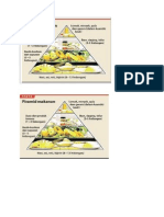Pyramid Makanan