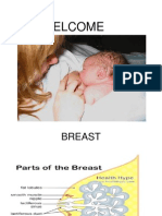 Breast Development and Lactation Processes