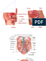 10urinariohidro_1011.ppt