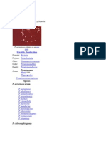 Pseudomonas