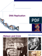 DNA Replication 2014