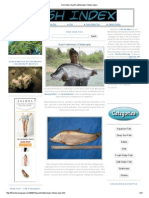 Fish Index_ Giant Featherback (Chitala Lopis)