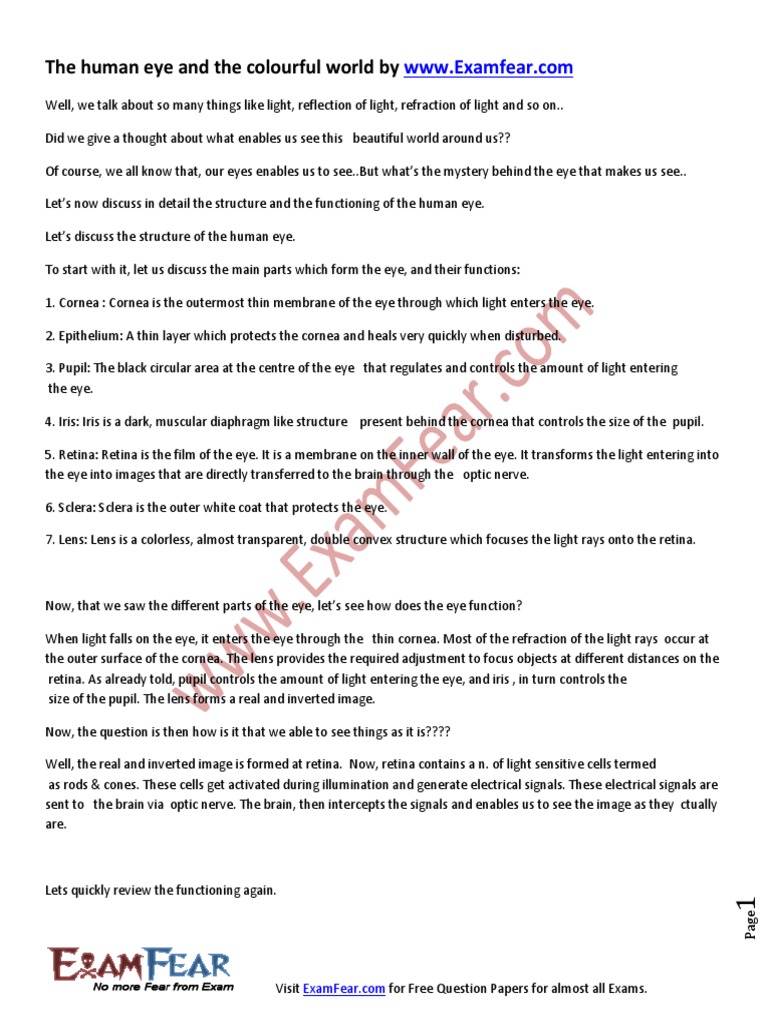 Notes of 10th Cbse Human Eye | PDF | Human Eye | Prism