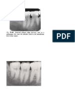 3.gambaran normal jar.pendukung gigi.docx