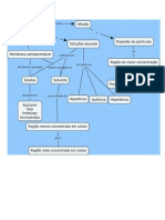 infográfico sobre osmose