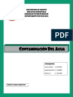TRABAJO DE LABORATORIO (CONTAMINACION).docx