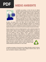 Medio Ambiente