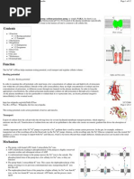 Download Sodium-Potassium Pump on Wikipedia Landscape by shawnleegabriel SN2079738 doc pdf