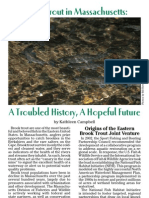 Brook Trout Article