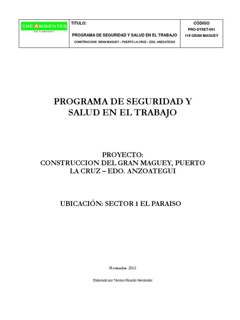 Programa de Seguridad y Salud en El Trabajo | PDF | Derecho laboral ...