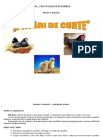 Pasaridecurte Proiecttematic