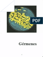 Infecciones Urinarias y Riñones