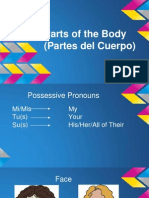 Parts of The Body Powerpoint