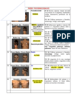 Laminas de Pares Biomagneticos MZT