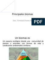 Principales Biomas 05-01-13