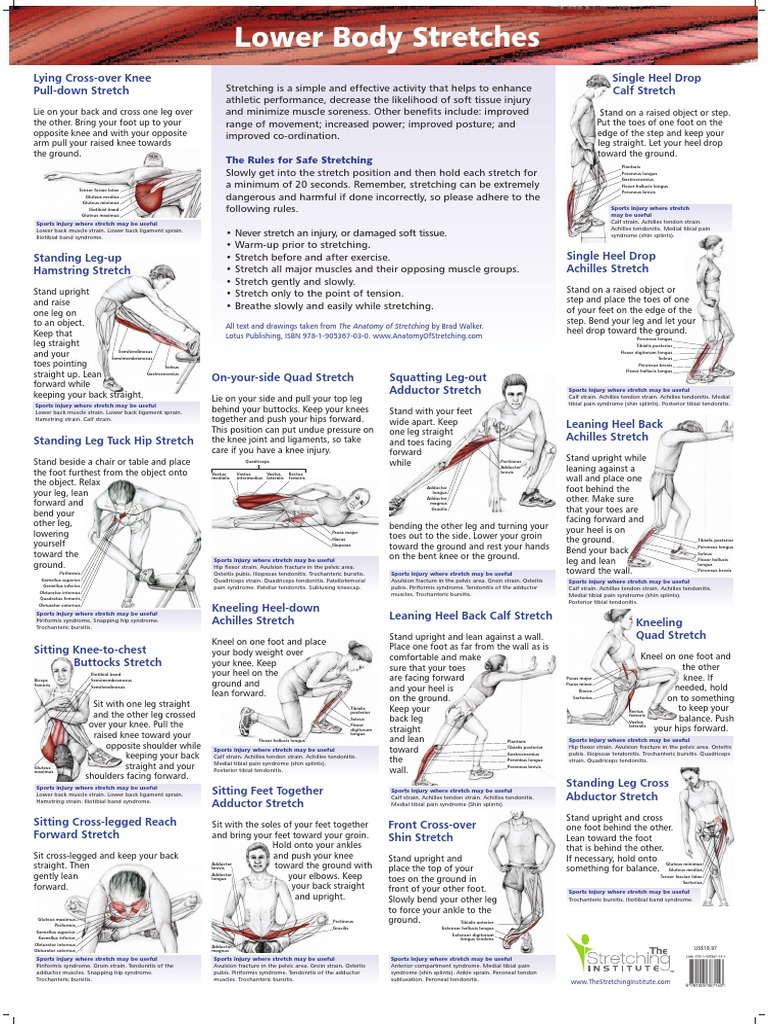 Stretches | PDF | Science & Mathematics