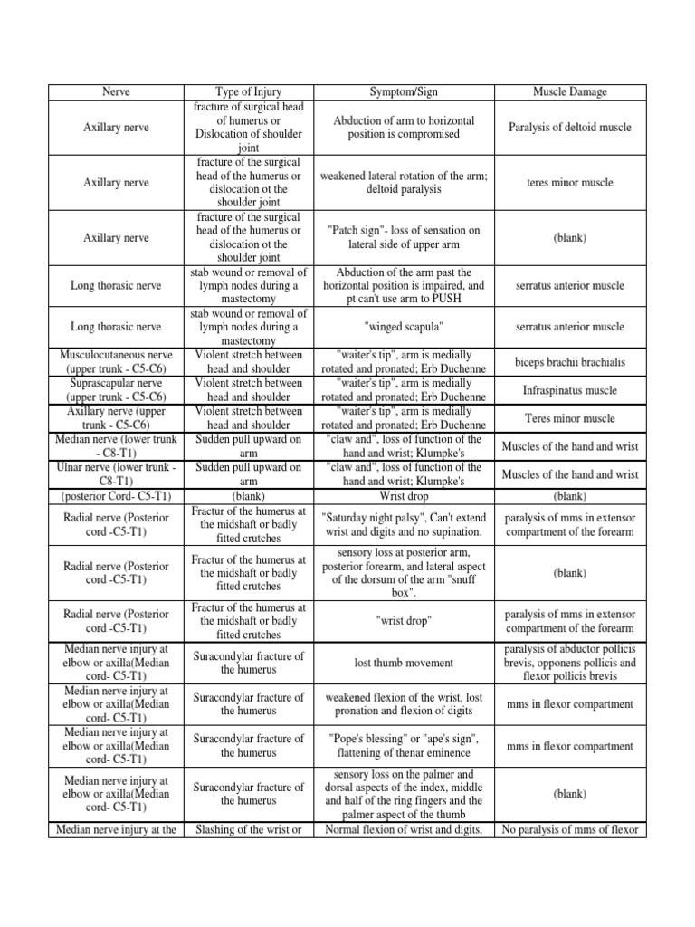 Brachial Plexus Injuries Elbow Anatomical Terms Of Motion