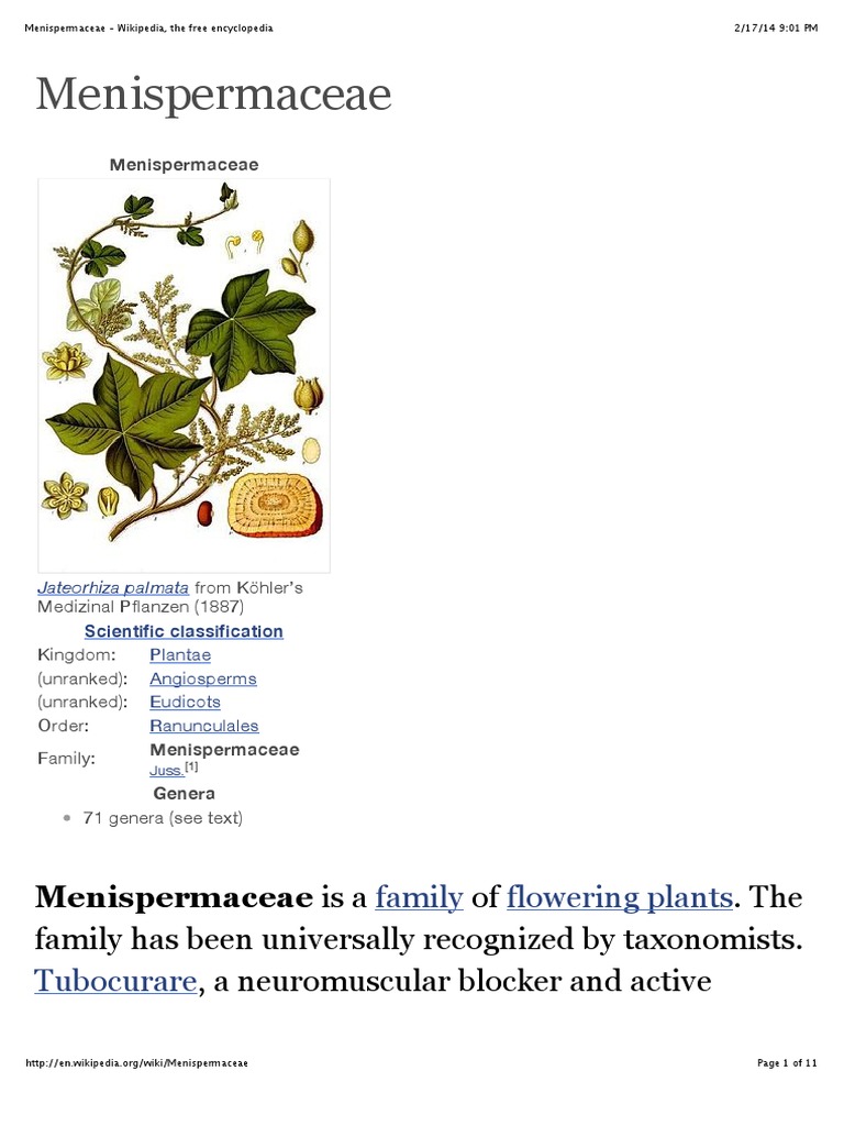 Menispermaceae