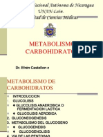 Metabolismo de Carbohidratos Medc13