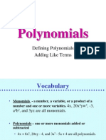 Polynomial NT 1
