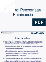 Digestive Physiology of Ruminant